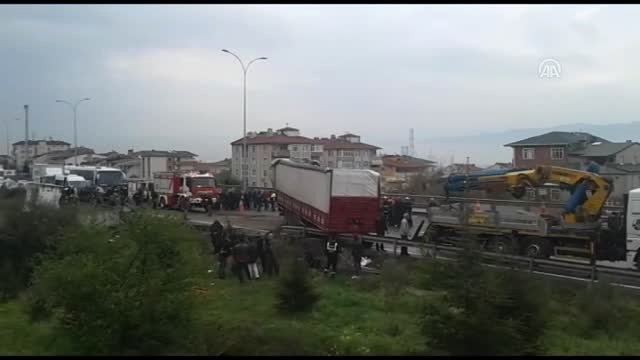 Büyükbaş Hayvan Yüklü Tır Devrildi - Kocaeli