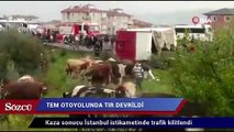 TIR devrildi, TEM Otoyolu ulaşıma kapandı