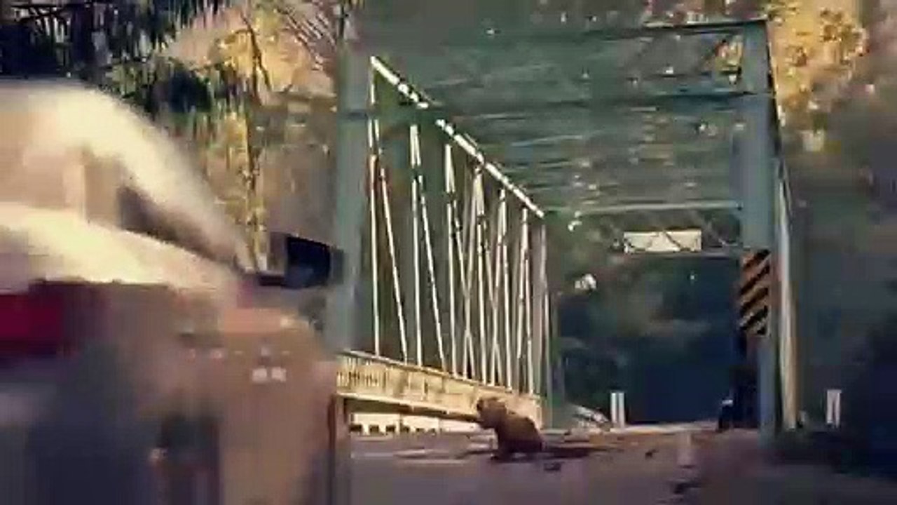 Tudo que você pratica hoje ,retorna para você no FUTURO!