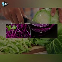 الملفوف خارج عالم السلطة... ما هي فوائده؟