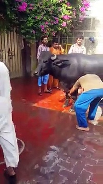 اس شخص کے لیے ایک جملہ نوٹ  ھنسنا منع نہیں ھے ۔۔#pendu