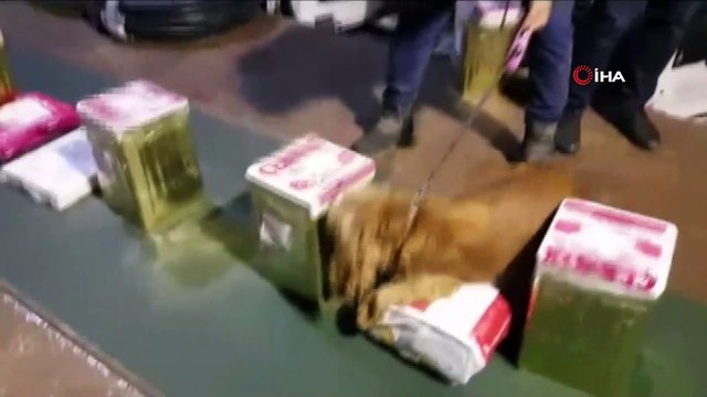 Peynir tenekelerine gizlenmiş vaziyette 26 kilo 500 gram esrar ele geçirildi