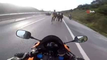 Şile Yolunda Teksas'ı Aratmayan Görüntüler... Motosikletli Asfalt Kovboyları Kamerada