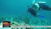 St Lucia: a Project to Restore Coral Reefs