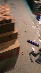 Cheeky hound chews through 'Dog training for dummies' book