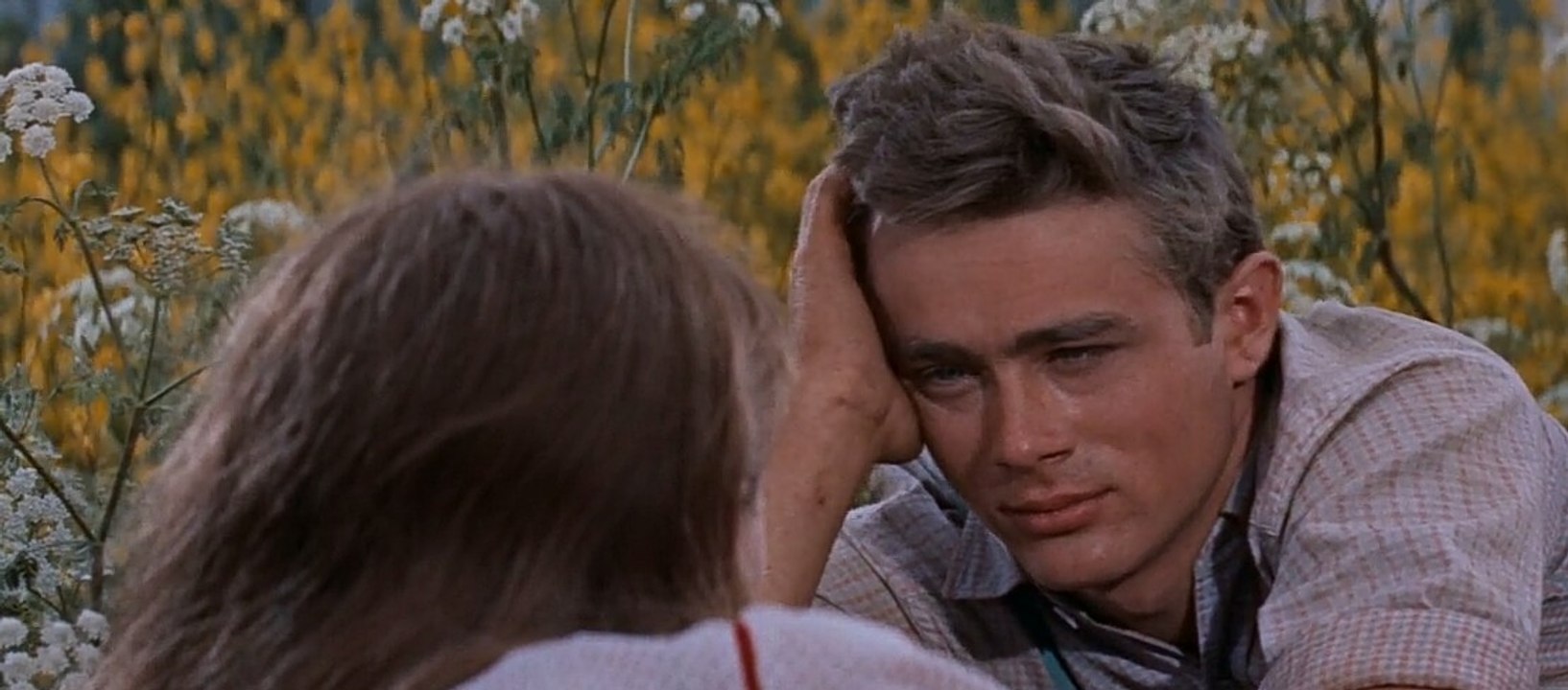 East of Eden Movie (1955) - Julie Harris, James Dean, Raymond Massey