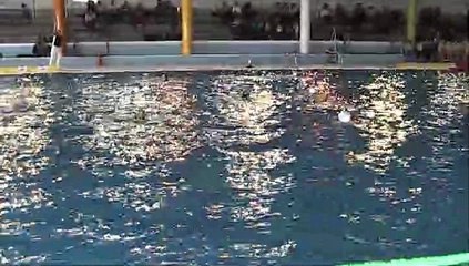 Waterpolo JUVENIL  liga 2ªFase  CN Ciudad de Alcorcón 7-7 Colegio Brains  6/04/2019 (3ºcuarto)