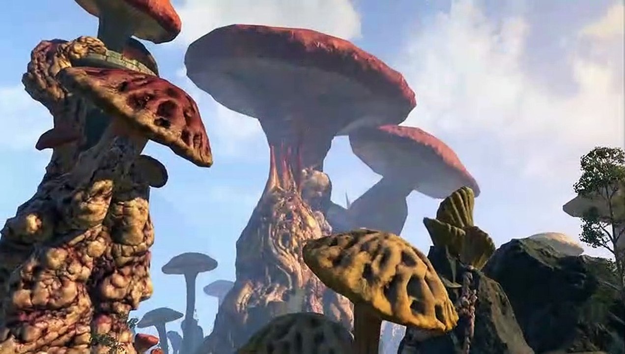 The Elder Scrols Online. Intro