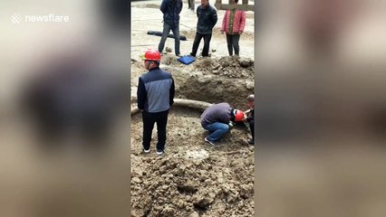 Ancient fossilised ivory discovered on construction site in China’s Henan