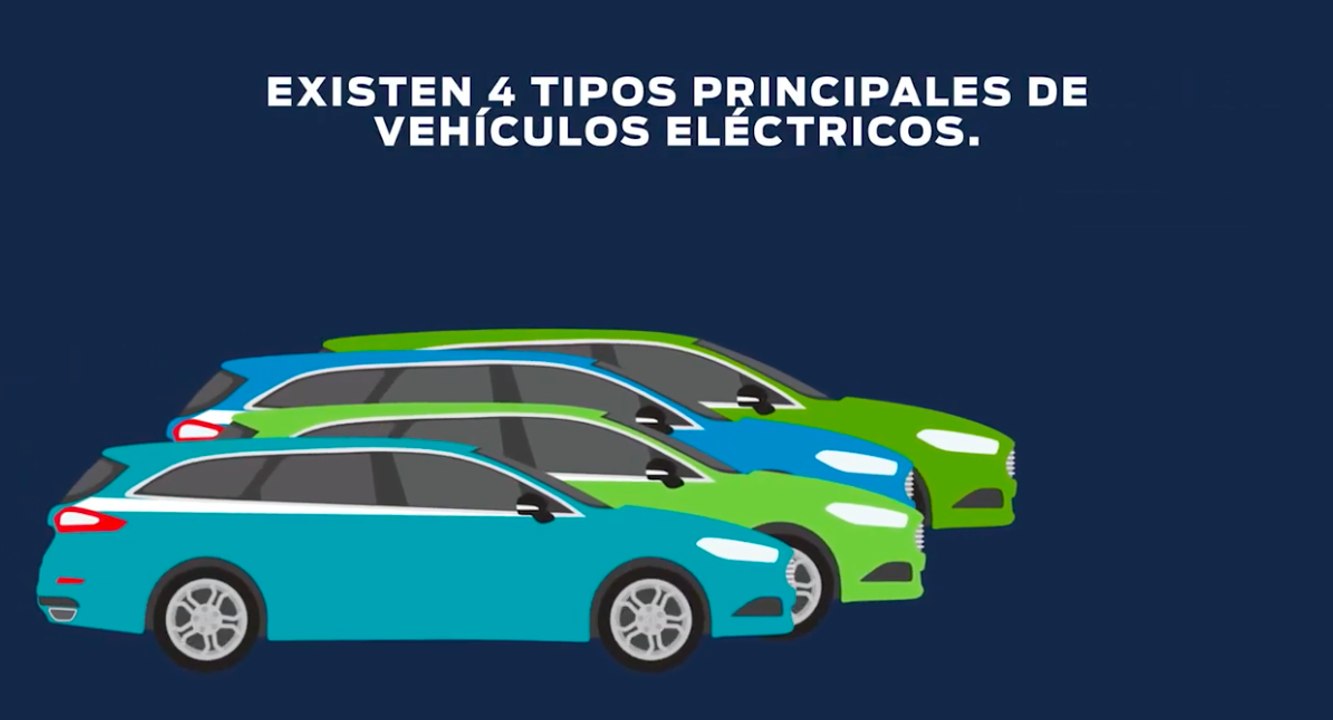 VÍDEO: ¿Sabes diferenciar los distintos tipos d...