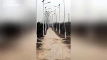 Chinese villagers install thousand street lights on rural road to scam government