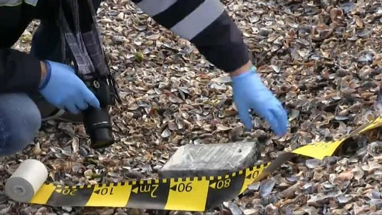 Kokainfund an Rumäniens Schwarzmeerstrand