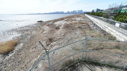 [인천] 해안도로 철책 철거 본격 착수 / YTN