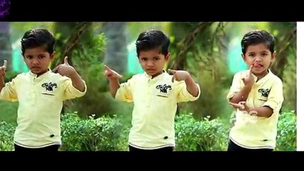 തന്റെ പ്രിയപ്പെട്ട പപ്പി അവസാനമായി വീട്ടിൽ എത്തിയപ്പോൾ കുഞ്ഞനുജൻ ചെയ്തത് എന്താന്ന് കണ്ടോ