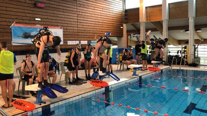 Championnat régional de plongée sportive en piscine