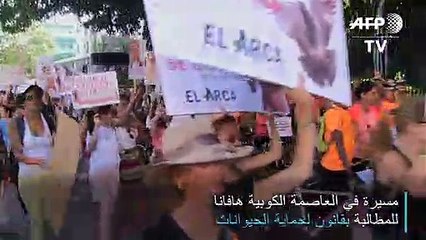 مسيرة للمطالبة بقانون لحماية الحيوانات في كوبا