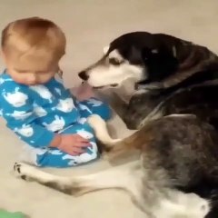 Quand un bébé s'endort sur le chien. Trop cute !