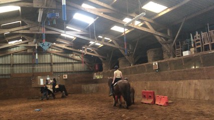 Dirinon. Séance d’équithérapie à la ferme Terre Happy