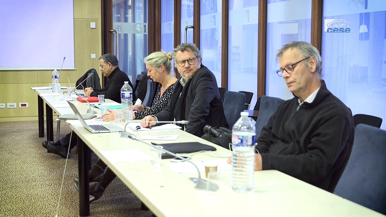 Questions à Cyril COSME (OIT) - RSO - cese