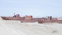 Watch: Students plant trees to save what's left of the Aral Sea