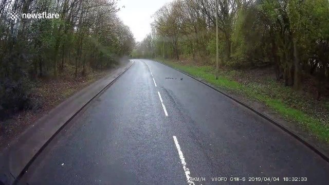 UK lorry driver slows down to let a flock of ducklings cross safely with their mother
