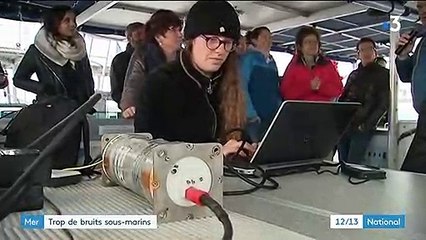 Mer : la pollution sous-marine provoque des dégâts