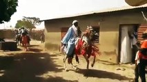En Afrique, même les chevaux savent danser. Magnifique !