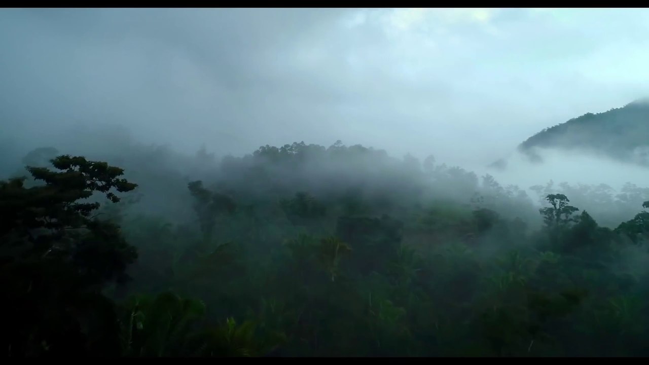 Dora and The Lost City Of Gold Trailer