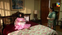 Bharam Episode #11 HUM TV Drama 8 April 2019