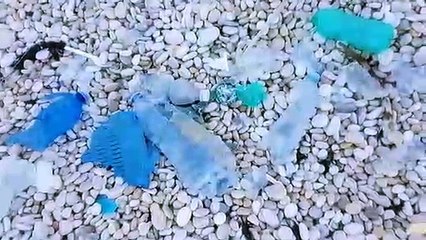 Bisceglie: il mare continua a vomitare plastica, serve subito applicare la Legge del Ministro Costa!