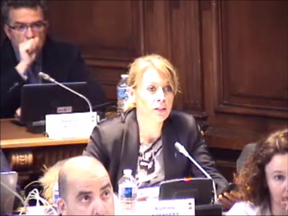 Nathalie KOENDERS. Voeu sur la "motion Métropoles".  Session du 8 avril 2019