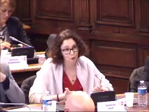 Sandrine HILY. Rapport d'information sur le programme départemental d'économie circulaire. 8 avril 2019