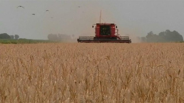 Европе не хватает хлеба