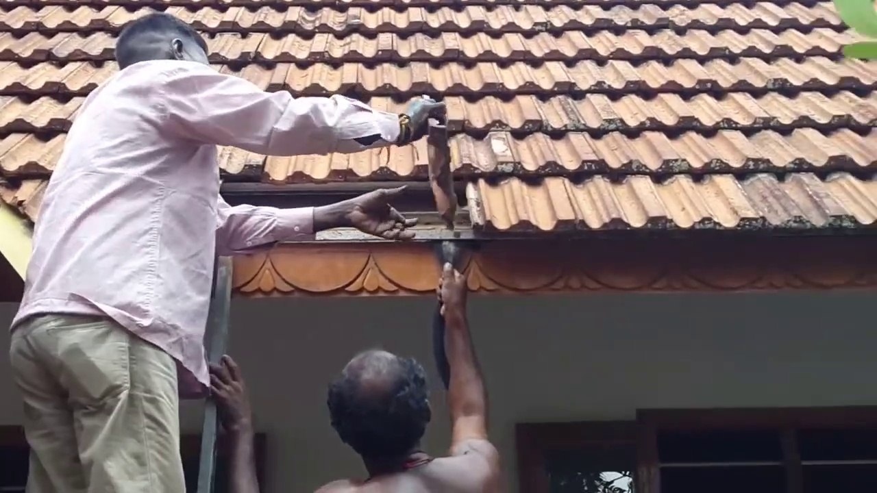 Regardez ce qu'ils vont trouver sous leur toit...