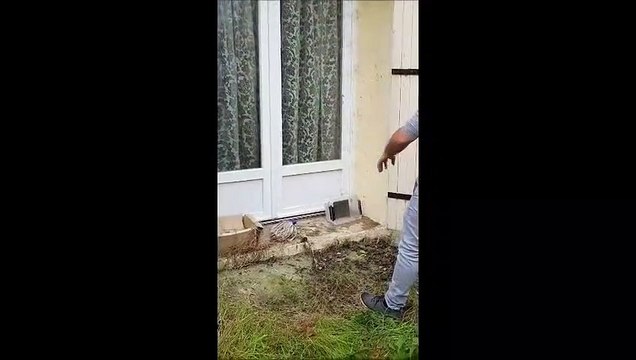 Un propriétaire découvre sa maison dévastée par une locataire