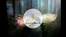 Relaxing Acoustic Guitar - Calming, Study Music, Stress Relief (Fantasy Version)