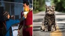 'Shazam' and 'Pet Sematary' Make Strong Debuts at North American Box Office | THR News