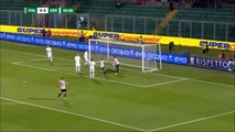 Palermo 1 - 0 Verona Gol di Nestorovski 08.04.2019 ITALY: Serie B
