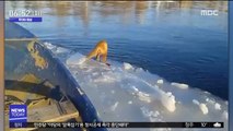 [투데이 영상] 얼음 위에 표류 중인 여우 구조