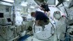 Scientists Find International Space Station Is Crawling With Bacteria