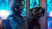 John Wick Kapitel 3 Film - Keanu Reeves, Halle Berry