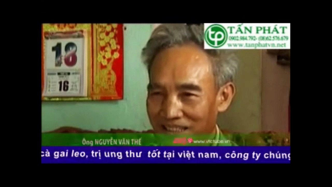 Địa chỉ bán cây mã đề tại tphcm ઈ Tấn Phát HCM ઉ 0909 867 078