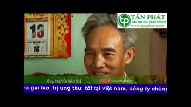 Địa chỉ bán cây mã đề tại tphcm ઈ Tấn Phát HCM ઉ 0909 867 078