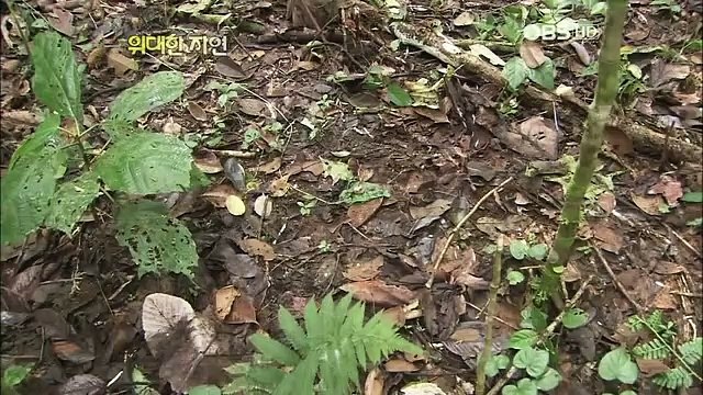 종로출장안마 #C# 후불100%ョ｛Ø7Ø↔7575↔0054카톡RD654｝종로전지역출장마사지종로출장안마종로출장마사지'24시출장샵'ゆ출장마사지'만족출장마사지'만족