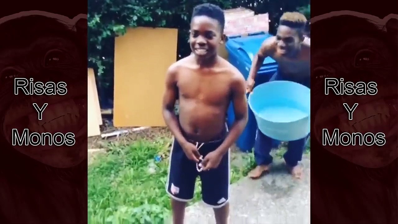 Los mejores videos de risa de Falls Sports Animals. (The best laughing videos of Falls Sports Animals).