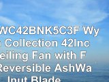Litex WC42BNK5C3F Wyman Collection 42Inch Ceiling Fan with Five Reversible AshWalnut