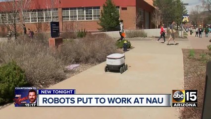Northern Arizona University among first to get food delivery robots