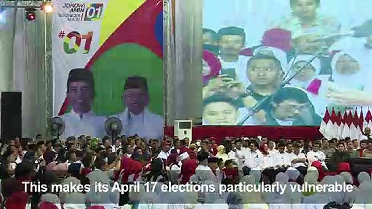 Who you gonna call? Fake news busters in Indonesia