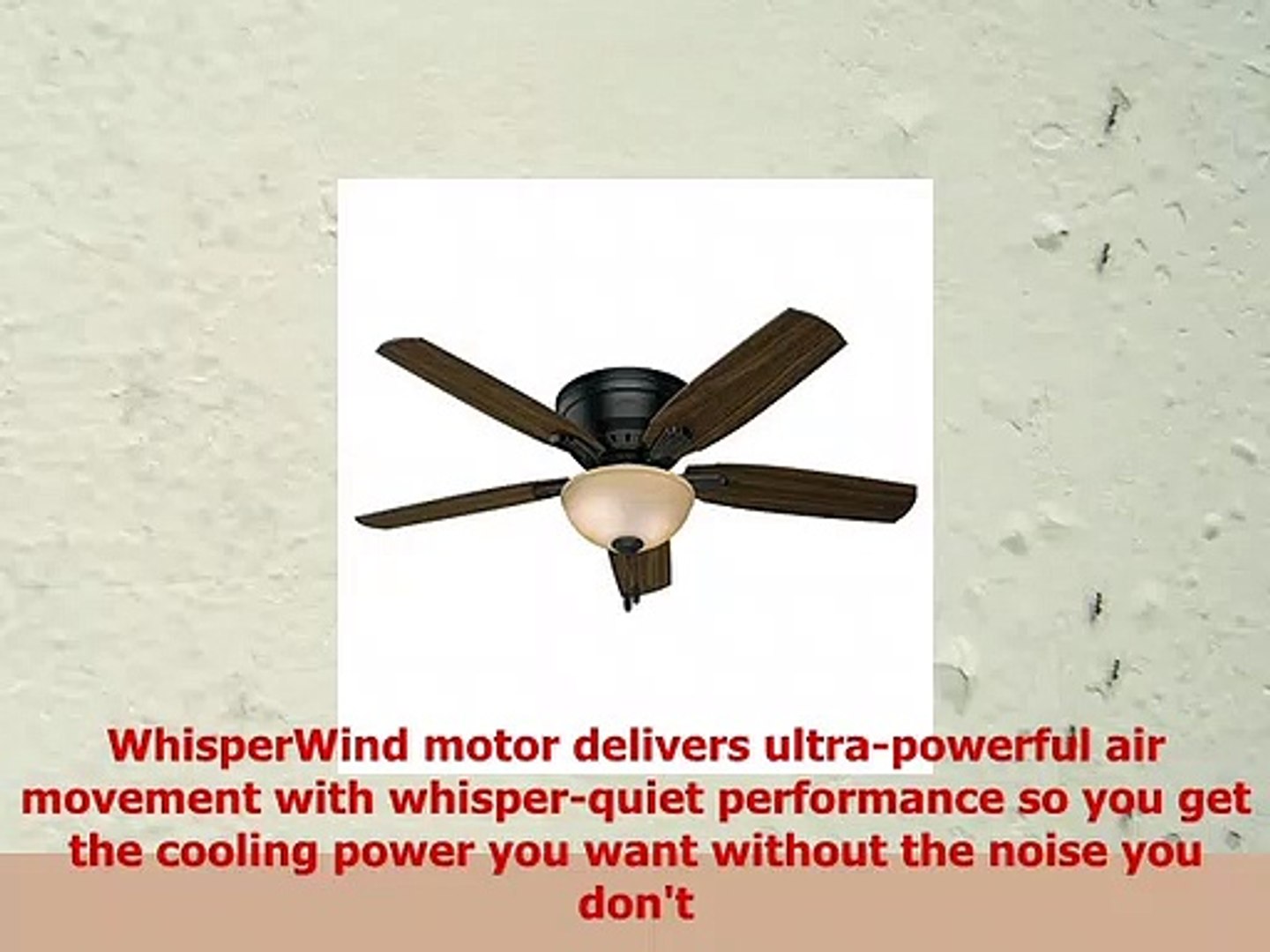 Hunter Fan 52 Hugger Ceiling Fan In Basque Black With Bowl Light