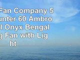 Hunter Fan Company 54174 Hunter 60 Ambrose Bowl Onyx Bengal Ceiling Fan with Light